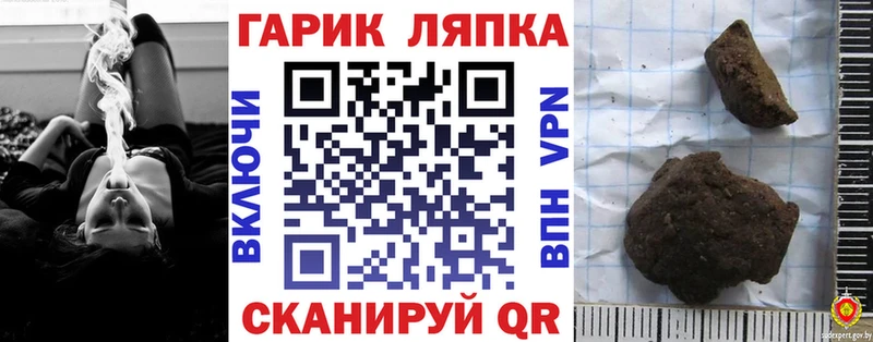 Гашиш Premium  закладки  blacksprut как войти  Новое Девяткино 