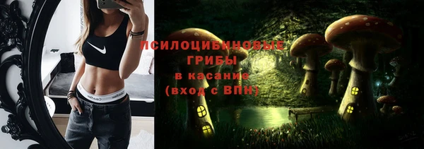 марки lsd Краснослободск