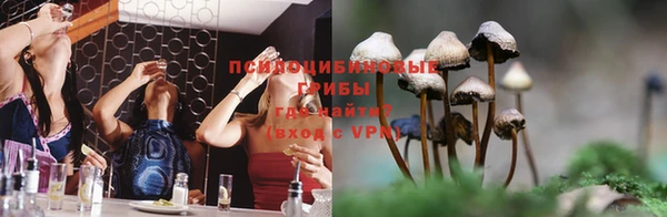 молекула духа Красноперекопск