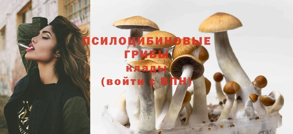 молекула духа Красноперекопск